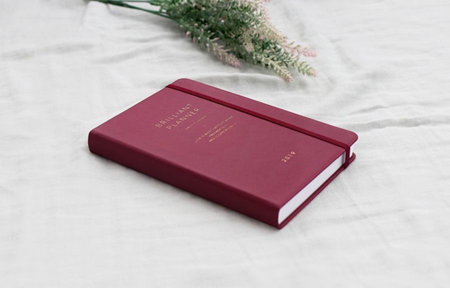 2019 Brilliant Daily Planner