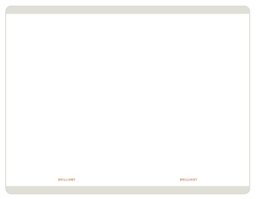 2019 Brilliant Daily Planner