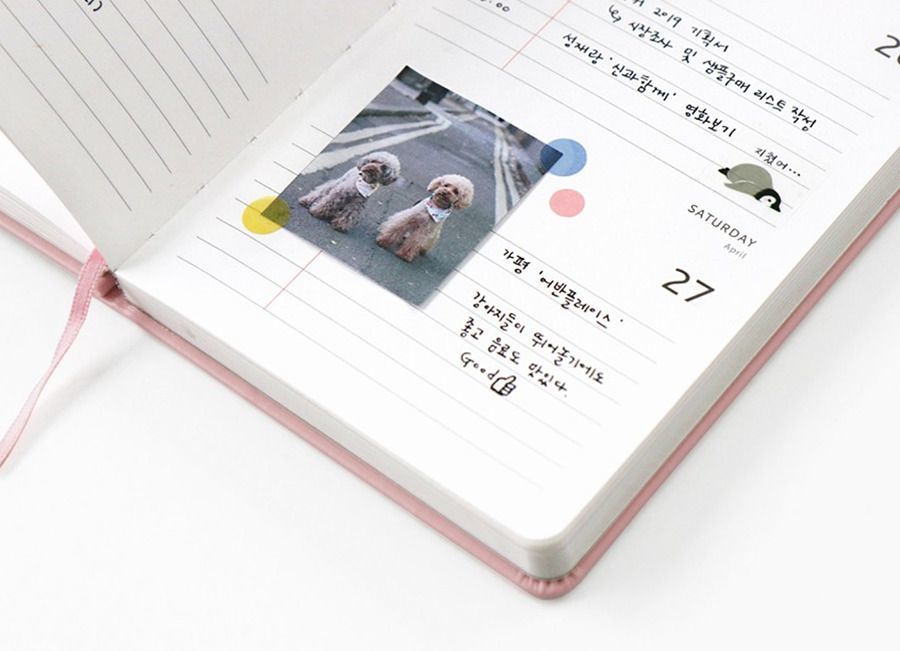 2019 Brilliant Daily Planner