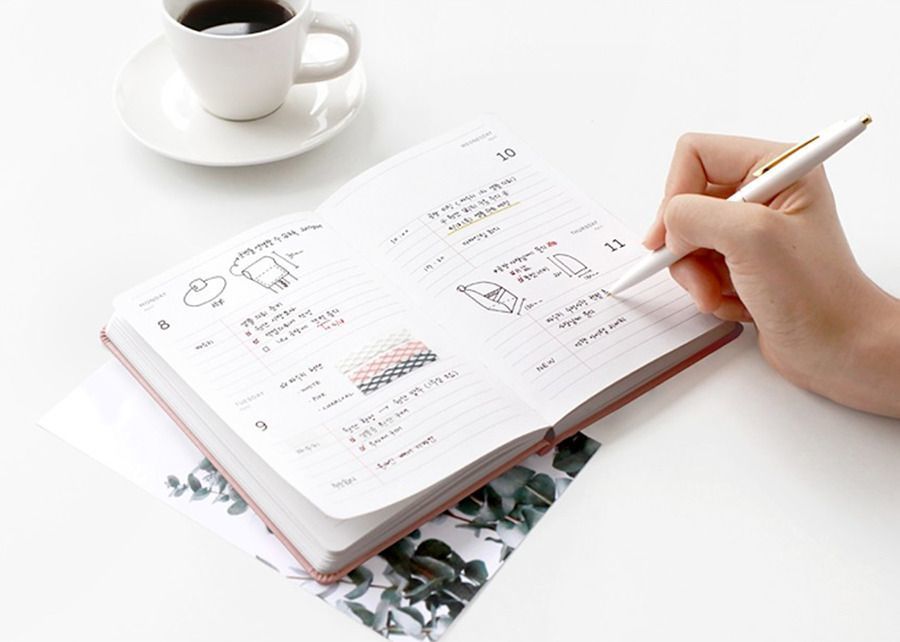 2019 Brilliant Daily Planner