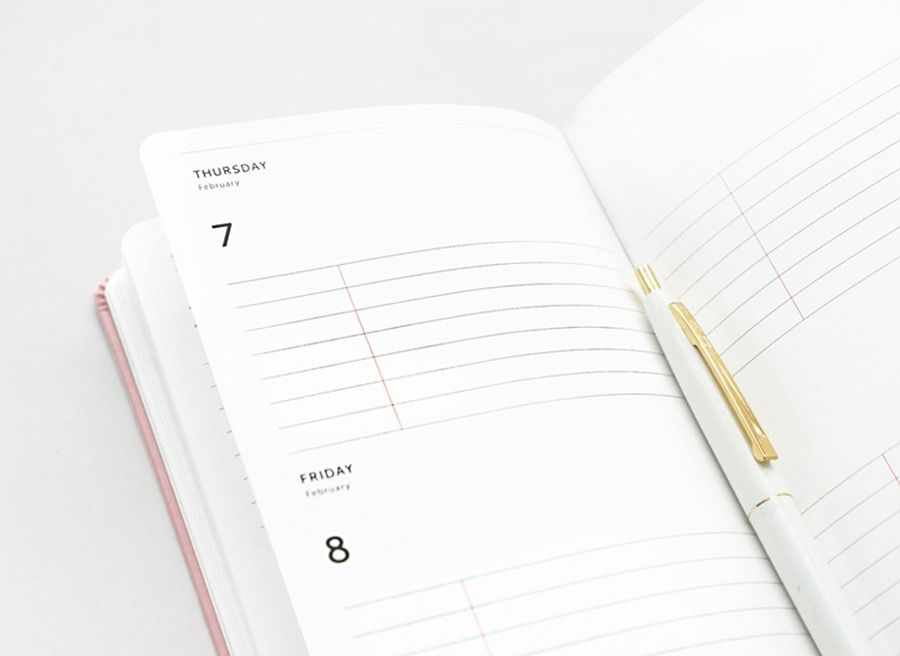 2019 Brilliant Daily Planner