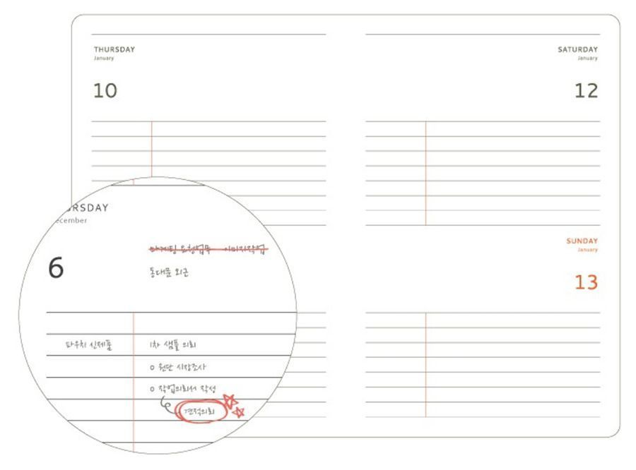 2019 Brilliant Daily Planner