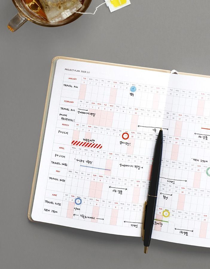 2019 Brilliant Daily Planner