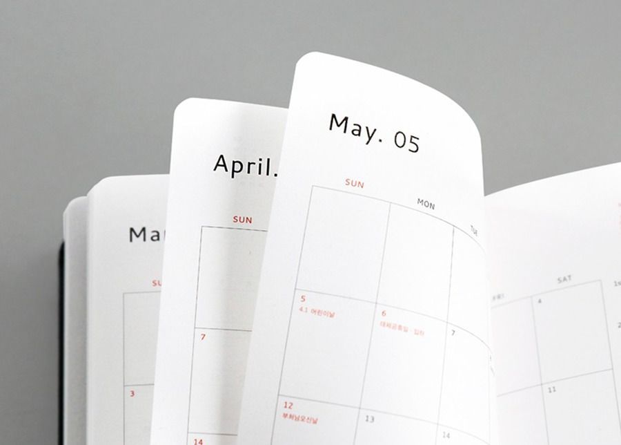 2019 Brilliant Daily Planner