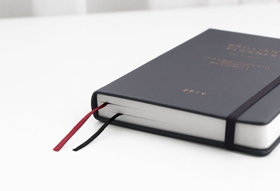 2019 Brilliant Daily Planner