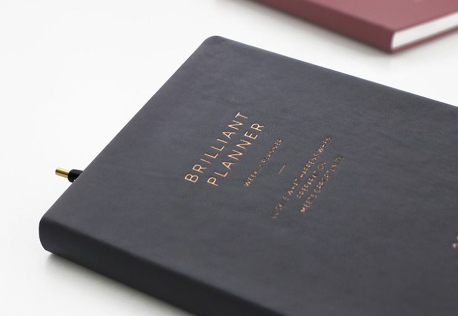2019 Brilliant Daily Planner