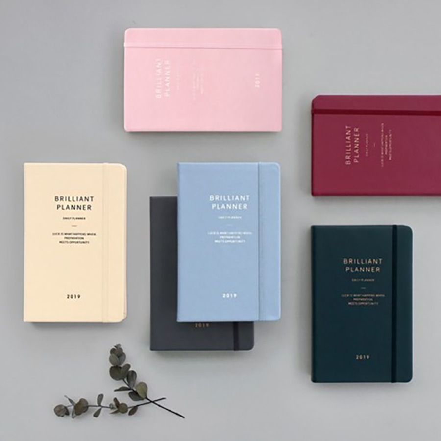 2019 Brilliant Daily Planner