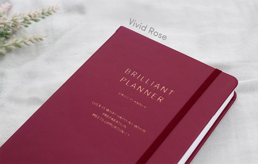 2019 Brilliant Daily Planner