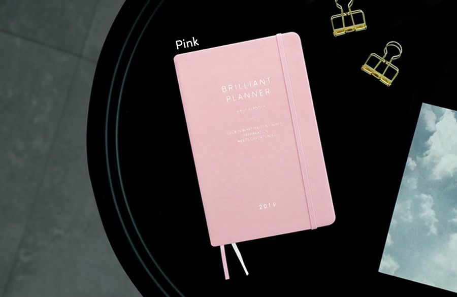 2019 Brilliant Daily Planner