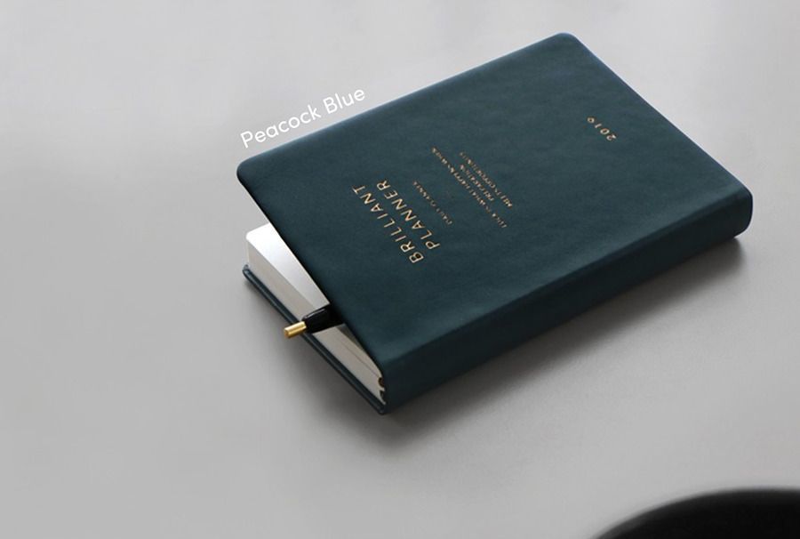 2019 Brilliant Daily Planner