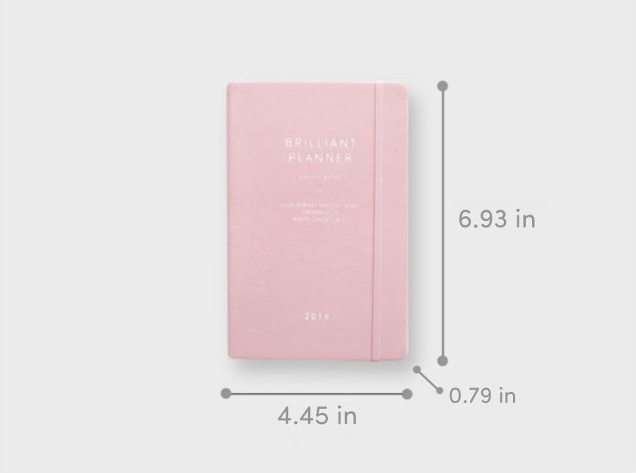 2019 Brilliant Daily Planner