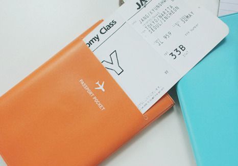 Neon Passport Pouch