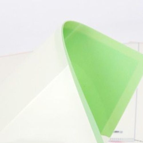 Animal Shadow Flat File Holder - Image 11