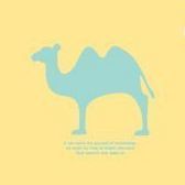 Animal Shadow Flat File Holder, Yellow Camel