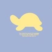 Animal Shadow Flat File Holder, Blue Turtle