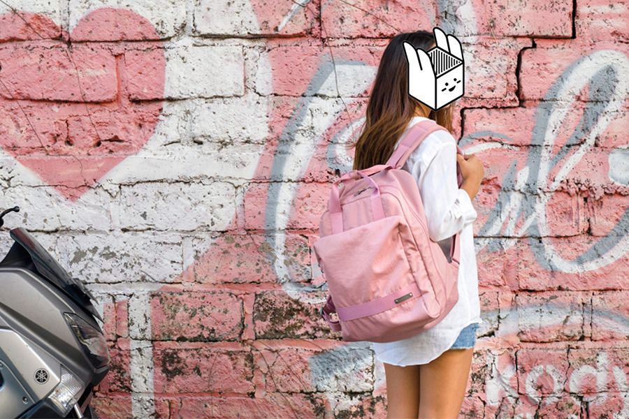 Travelus Voyage Backpack v2
