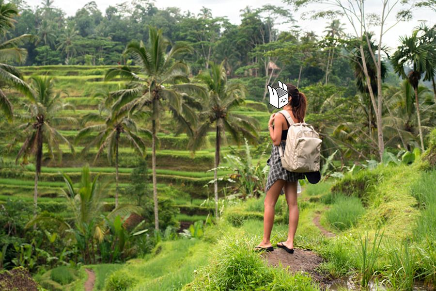 Travelus Voyage Backpack v2
