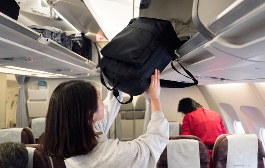 Travelus Voyage Backpack v2