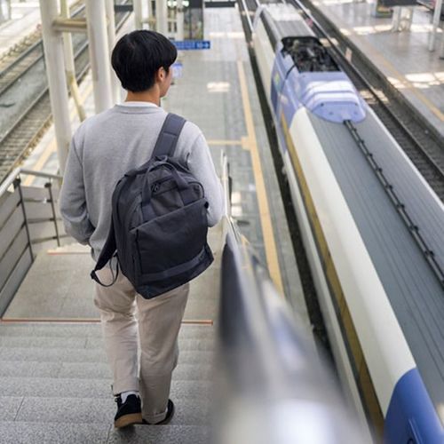 Travelus Voyage Backpack v2