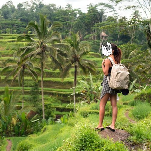 Travelus Voyage Backpack v2
