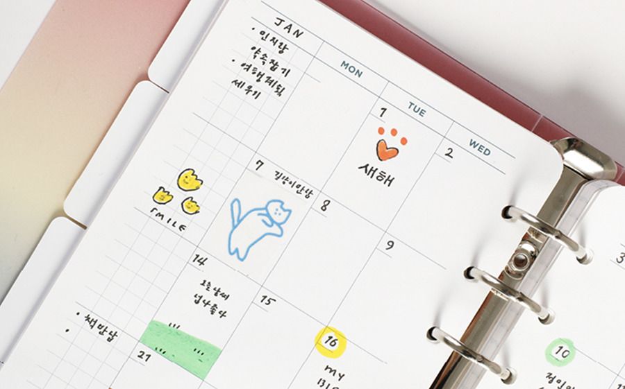 MochiThings 6 Ring A6 Monthly Plan Refill