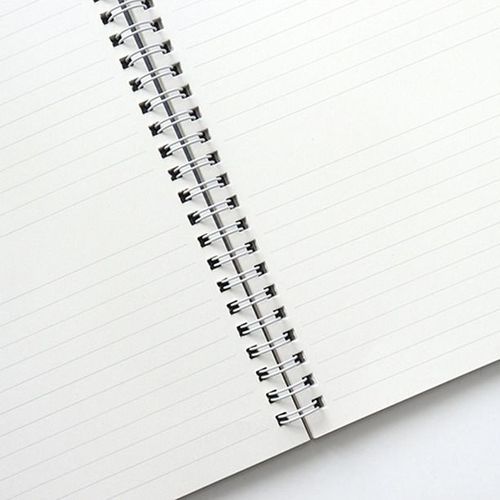 Anne Story Spiral Monthly Planner