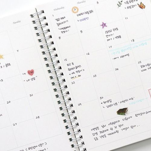 Anne Story Spiral Monthly Planner