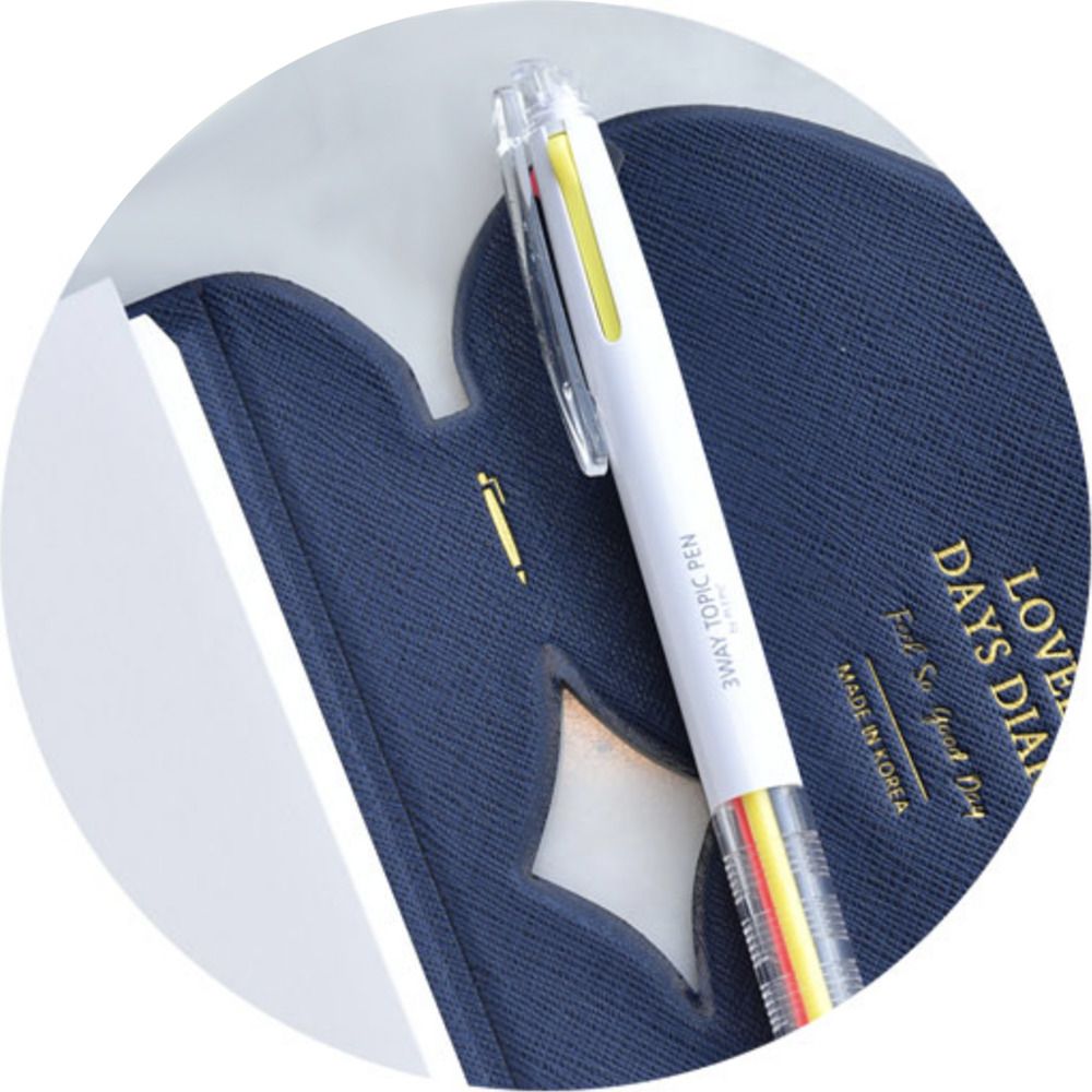 2020 Lovely Days Diary Planner