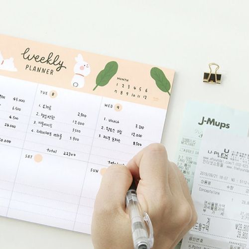 MochiThings: Hello Jane Weekly Schedule Pad